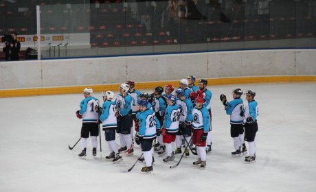 University Ice-Hockey Battle on 31st Octobre. Come to support VSE team!